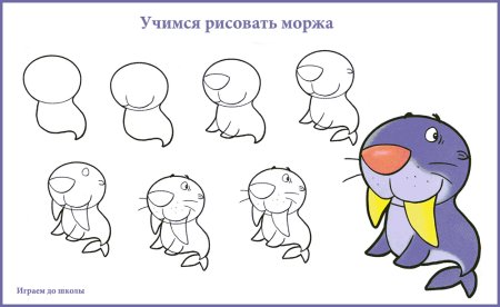Как нарисовать моржа