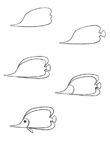 Поэтапное рисование морских жителей