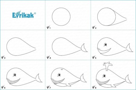 Кит поэтапное рисование