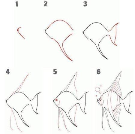 Рыбка пошаговое рисование