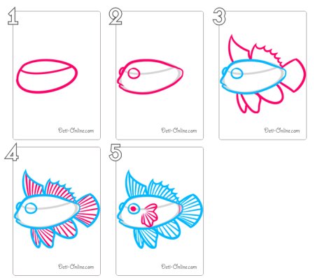 Схема рисования рыбки в средней группе