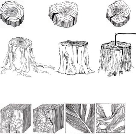 Нарисовать пенек