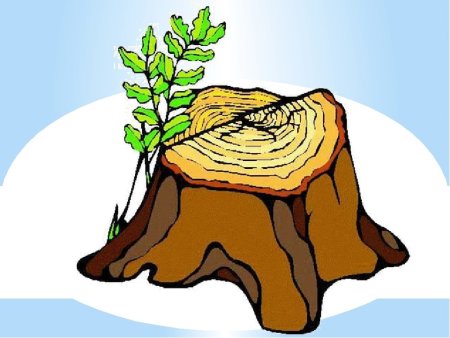 Пеньки скетч