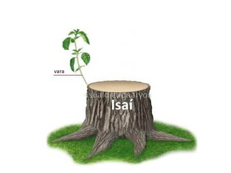 Пень раскраска для детей