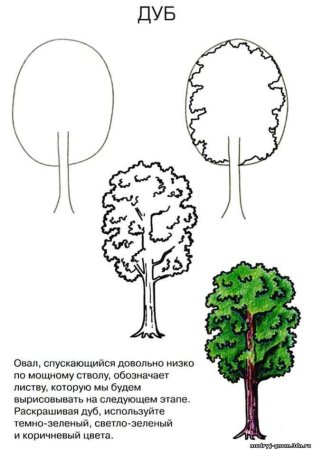 Уроки рисования дерево