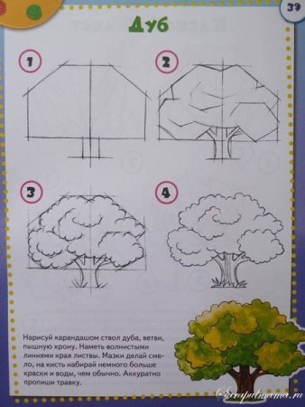 Поэтапное рисование дерева для детей
