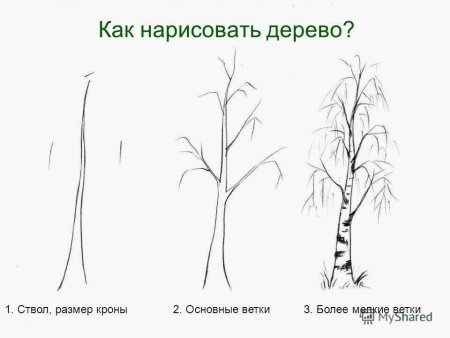 Последовательное рисование дерева