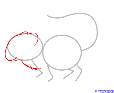 Тушканчик рисунок карандашом