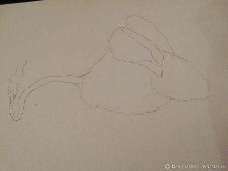 Тушканчик карандашом