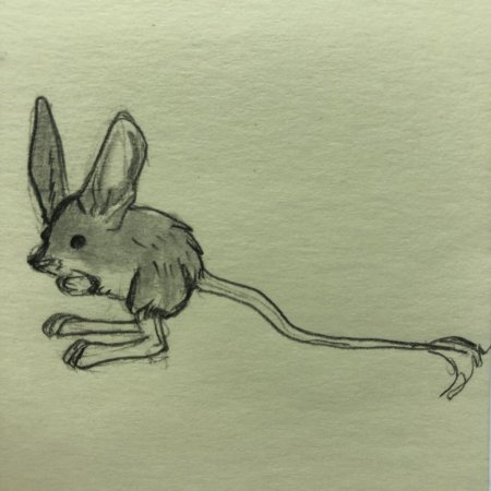 Мышь сбоку зарисовка