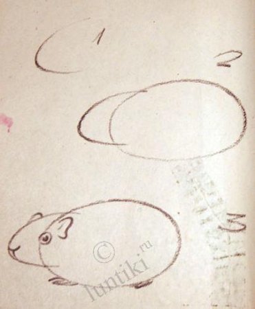 Тушканчик раскраска для детей