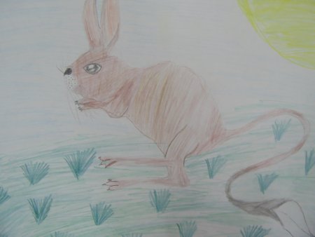 Поэтапное рисованиезаца