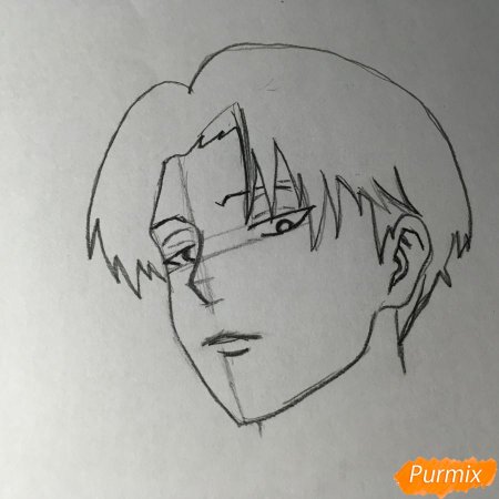 Поэтапный рисунок Леви