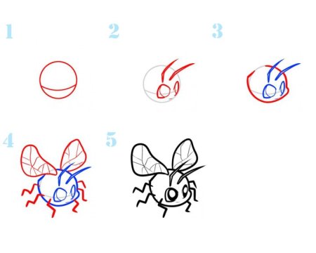 Как нарисовать насекомых простым карандашом поэтапно