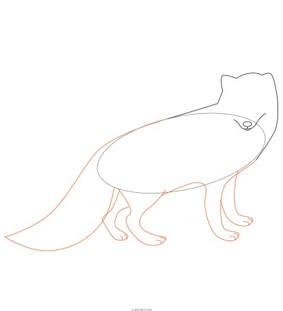 Лиса рисунок