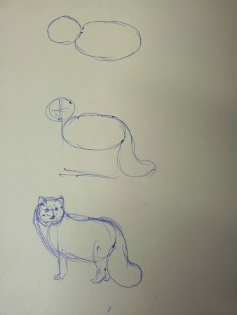 Легкий рисунок песца