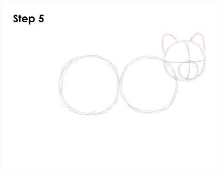 Рисуем песца поэтапно