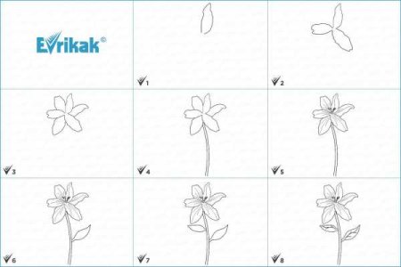 Поэтапное рисование цветов