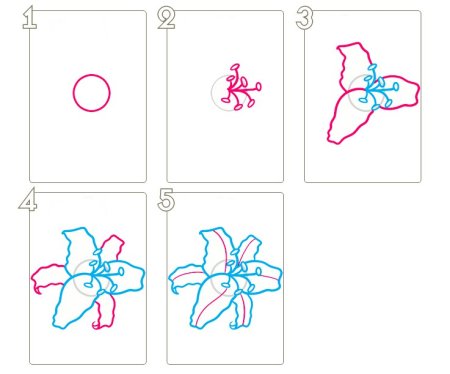 Лилия нарисовать ребенку