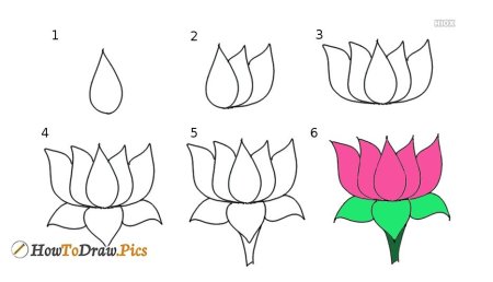 Пошаговое рисование цветы
