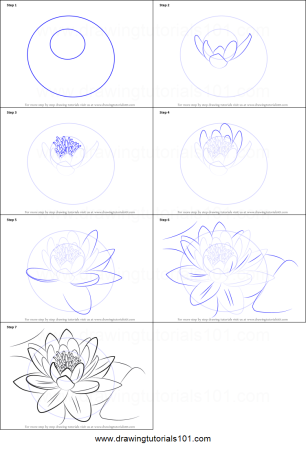 Лилия пошагово карандашом