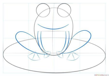 Как рисовать лягушку поэтапно