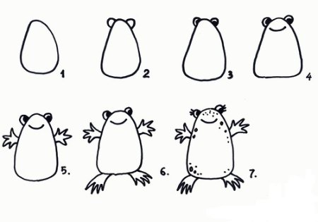 Лёгкие ресунке лягушек