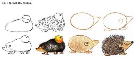 Схема рисования ежа для детей