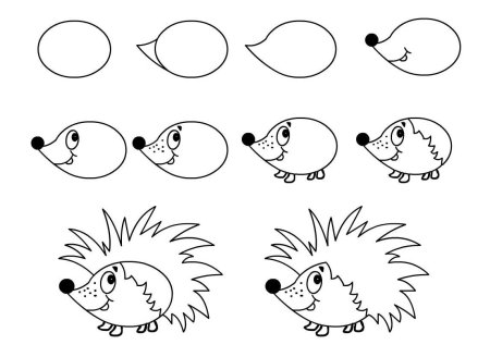 Этапы рисования ежика