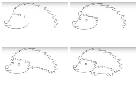 Ежик Графика