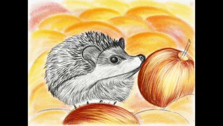 Ежик с яблоком цветными карандашами для детей