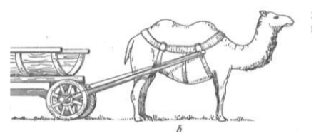 Верблюжья повозка