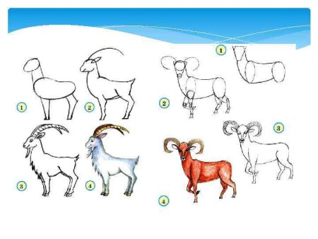 Как нарисовать козу