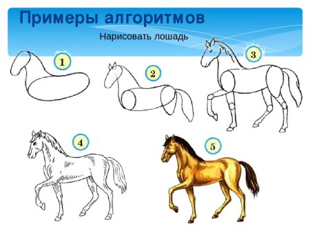 Человек на лошади пошагово