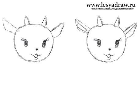 Поэтапный рисунок домашних животных