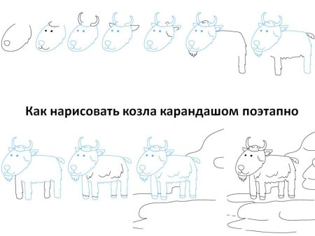 Как нарисовать козу
