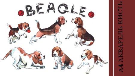 Собака Бигль для срисовки