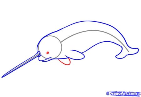 Нарвал нарисовать поэтапно