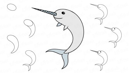 Нарвал карандашом