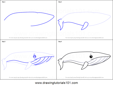 Нарвал раскраска для детей