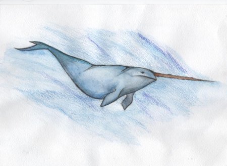 Лёгкие милые рисунки нарвал