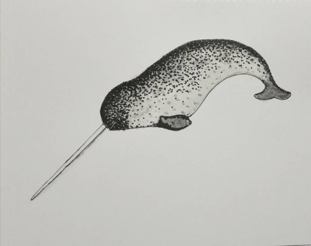 Нарвал животное раскраска