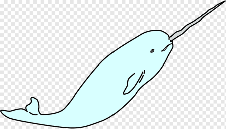 Нарвал поэтапное рисование для детей