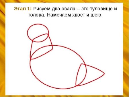 Поэтапное рисование тетерева