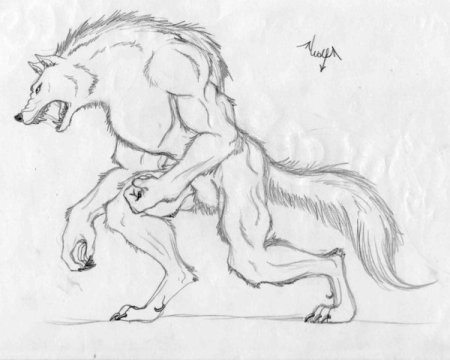 Вервольф скайрим карандашом