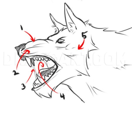 Оборотень рисунок