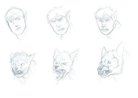 Вервольф референс анатомия