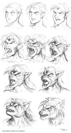 Вервольф карандашом