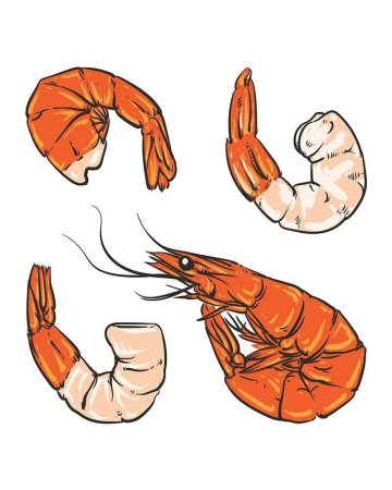 Креветка нарисованная