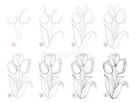 Способы рисования цветов карандашом